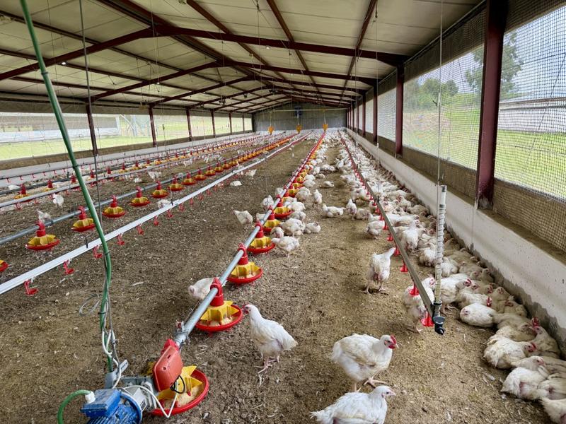 0 Bedroom Property for Sale in Harrismith Free State